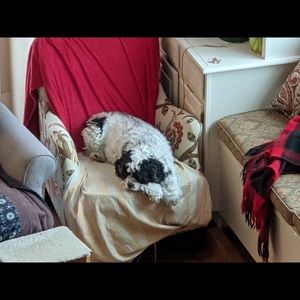 Meet your Posher, Melanie